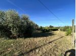 Agricolo in Via Presciano