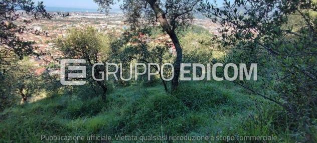 Terreno in vendita a Massa - Rif. 3560037 - Foto 5