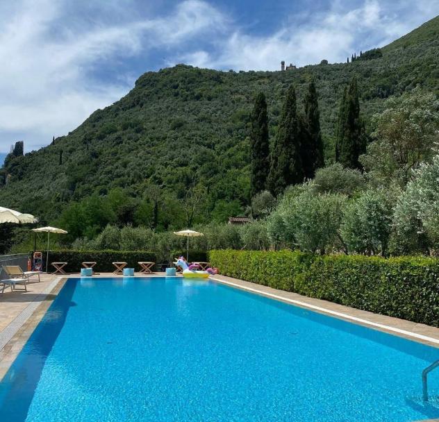 azienda agricola in vendita a Camaiore in zona Vado