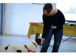 Educatore addestratore cinofilo cani e pensione per cani in casa