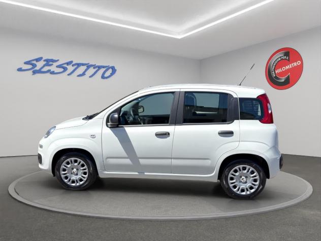FIAT - Panda Pandina 1.0 firefly hybrid Pop s&s 65cv - Foto 9