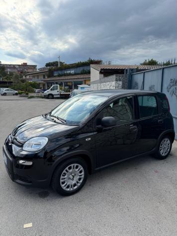 Fiat Panda 1.0 FireFly S&S Hybrid Pandina - Foto 2