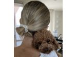 pet sitter qualificata
