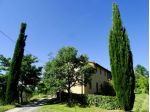 Colonica in vendita a Palaia 400 mq  Rif: 897496