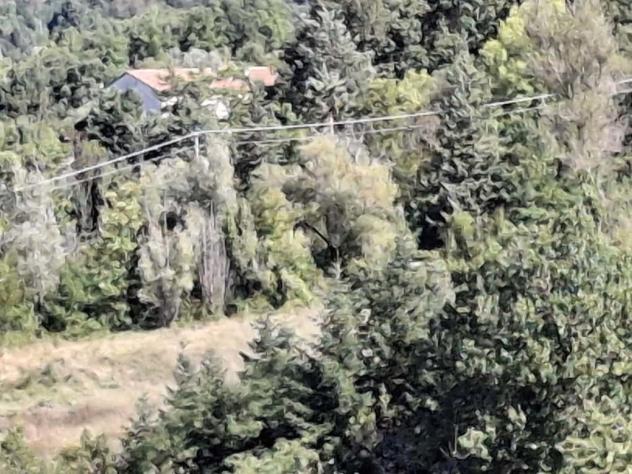 Terratetto in vendita a Sant'Agata Feltria - Foto 15