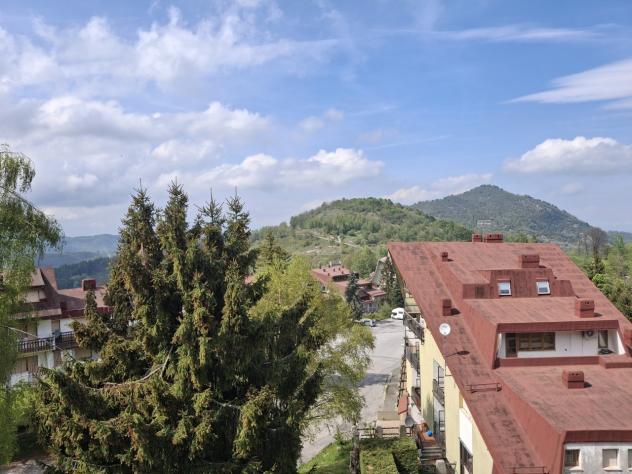 Appartamento in vendita a Viola