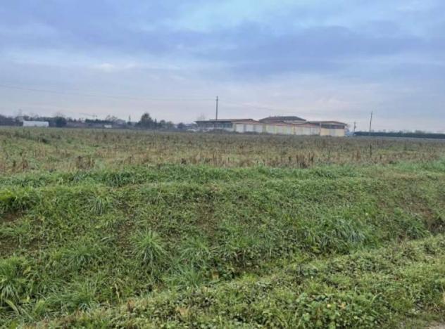 339/2024 2 BG - terreni agricoli in asta a pagazzano - Foto 8