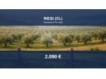 Immobile in asta di 3940 m² in vendita a Riesi