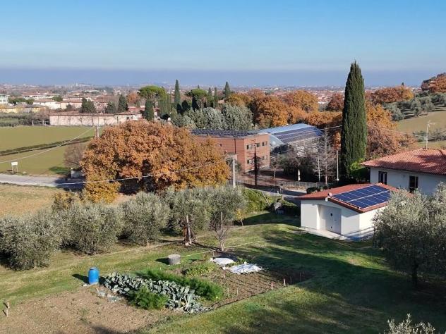 Uliveto in vendita a Verucchio - Foto 3