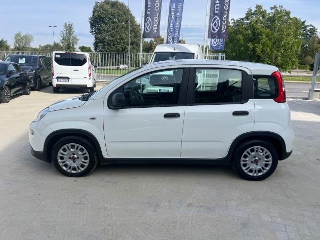 FIAT Panda 1.0 FireFly 70cv S&S Hybrid - Foto 5