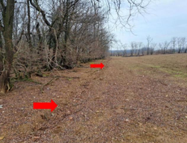 Immobile in asta di 59892 m² in vendita a Busto Arsizio - Foto 9