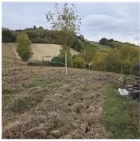 Immobile in asta di 9470 m² in vendita a San Severino Marche - Foto 4