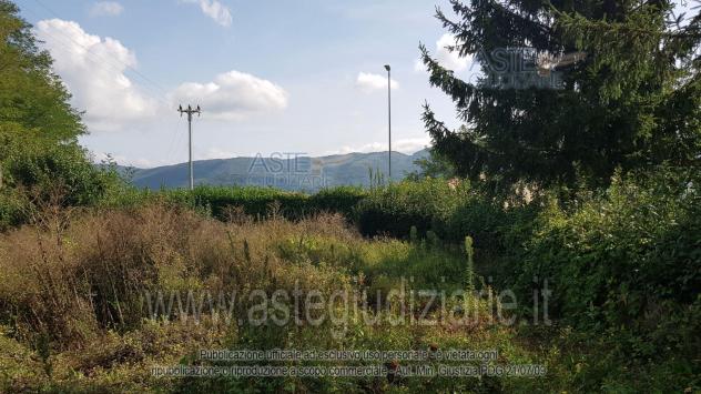 AZIENDE-ALTRA CATEGORIA-Via del Palagio - Foto 3
