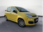 FIAT Pandina Pandina 1.0 firefly hybrid Pop s&s 65cv