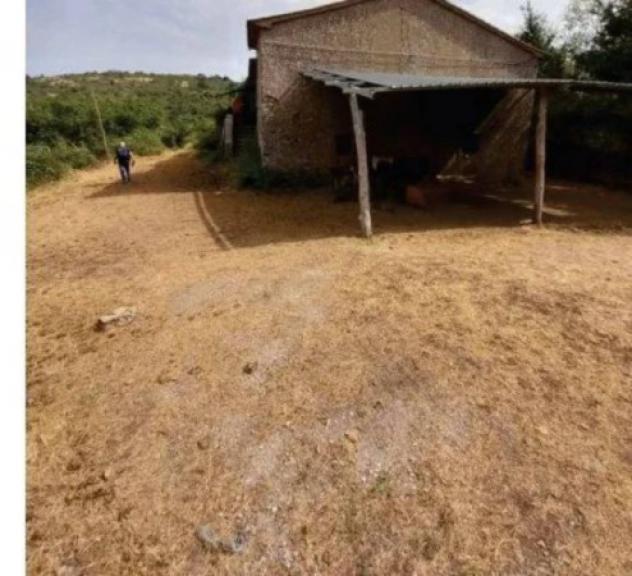 Immobile in asta di 1594609 m² in vendita a Arcidosso - Foto 3