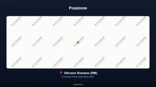 Immobile in asta di 105 m² con più di 5 locali in vendita a Olevano Romano - Foto 2