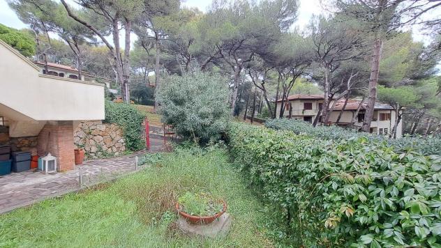 Appartamento in vendita a Castiglioncello - Rosignano Marittimo 80 mq Rif: 1369686 - Foto 3