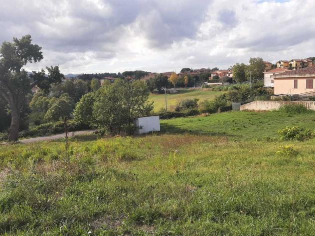 Industriale in vendita a Montecastrilli - Foto 2