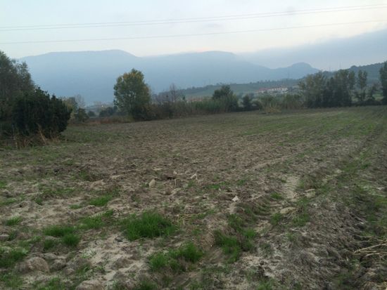 Capaccio Paestum loc. Scigliati Terreno agricolo - Foto 6