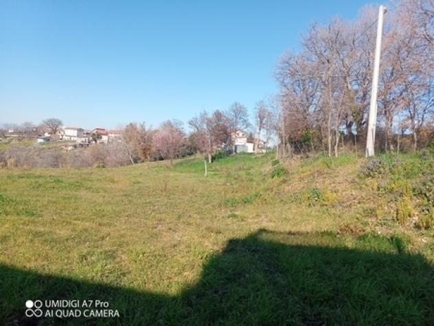 Casale in vendita a Castel Frentano - Foto 2