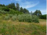 Terreno agricolo in vendita a Chiecinella - Palaia 9000 mq  Rif: 455004