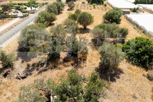 Terreno Agricolo - Santa Croce Camerina . Rif.: Cod. rif 3314731VCG - Foto 16