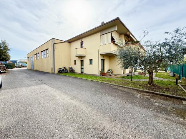 CAPANNONE di 9 vani e di 825 mq (GROSSETO - Grosseto) rif. CI.V.S - Foto 13