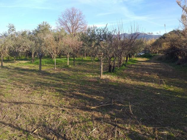 Terreno ed. ind.le/artig.le in vendita a Castelnuovo Magra 1850 mq Rif: 1394404