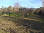 Terreno ed. ind.le/artig.le in vendita a Castelnuovo Magra 1850 mq  Rif: 1394404