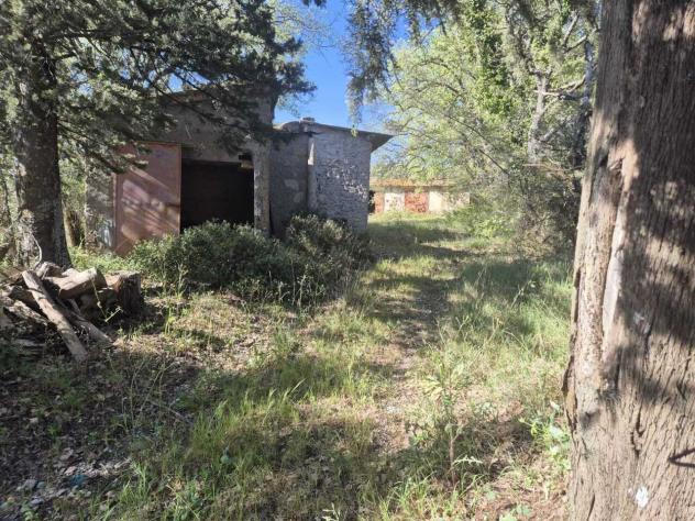 Rustico in vendita a Cinigiano
