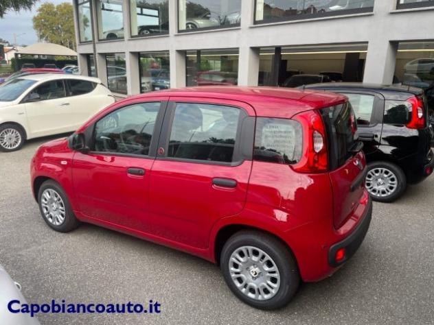 FIAT Panda 1.0 FireFly S&S Hybrid POP KM0 PROMO rif. 24099397 - Foto 4