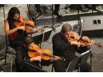 Quartetto d'archi "Quartetto Cremonese" musica matrimonio Cremona