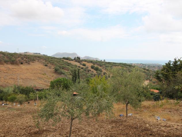 Agricolo in Strada Vicinale Incorvino Santa Caterina 2 - Foto 6