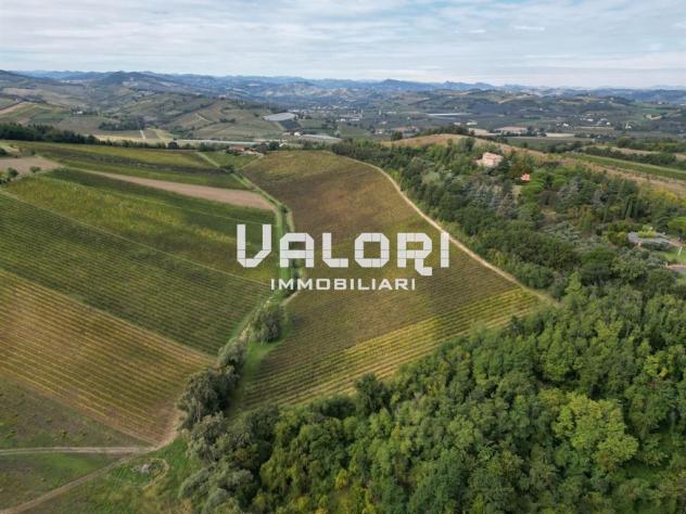 PODERE AGRICOLO DI CIRCA HA 31 OLTRE A CORTE CON CASA COLONICA E SERVIZI - Foto 8