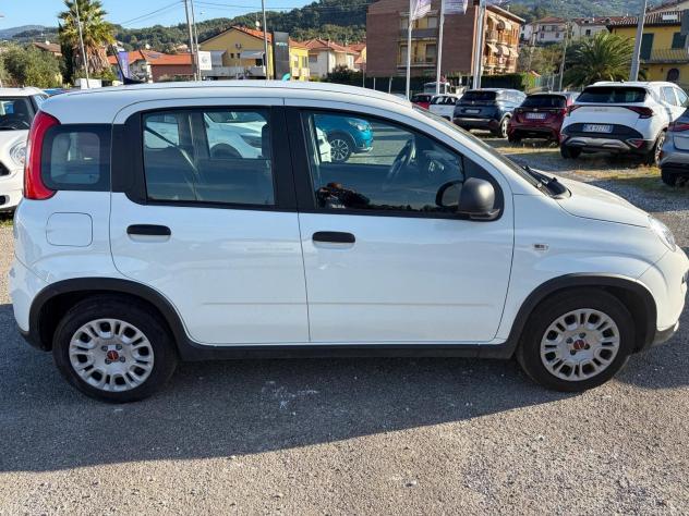 FIAT Panda 1.0 FireFly S&S Hybrid - Foto 8