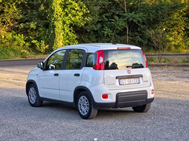 Fiat Panda 1.0 FireFly S&S Hybrid CV-69 E6 Manuale NEO 2024 - Foto 4