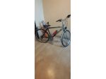 Bicicletta da passeggio misura 28
