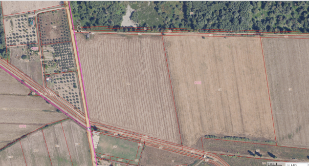 Terreno agricolo in vendita a Istia D'ombrone - Grosseto 70000 mq Rif: 1297886 - Foto 4