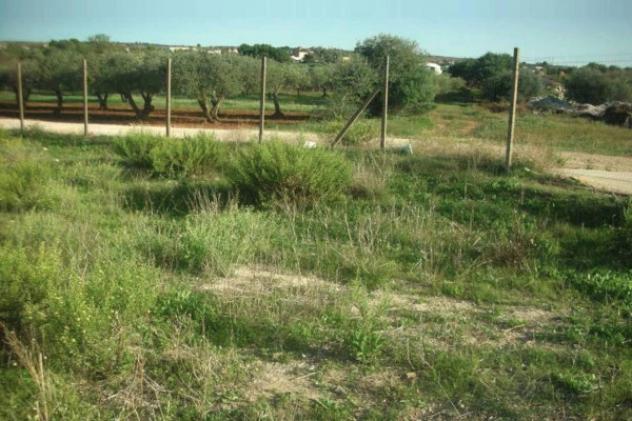 Immobile in asta di 9960 m² in vendita a Marsala - Foto 2