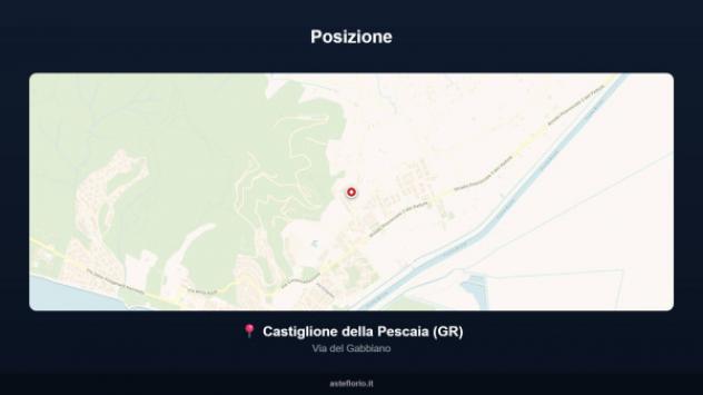 Immobile in asta di 140 m², box auto in vendita a Castiglione della Pescaia - Foto 14