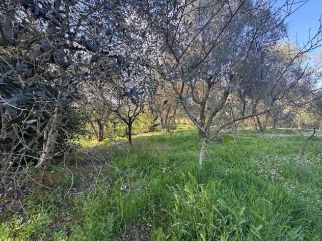 Appartamento in vendita a Montalbuccio - Siena 120 mq Rif: 1292600 - Foto 7