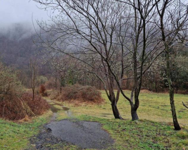 Immobile in asta di 19680 m² in vendita a Valganna - Foto 9