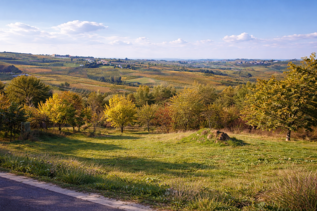 Terreno edificabile panoramico 1700 mq – colline Val Tidone