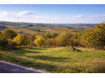 Terreno edificabile panoramico 1700 mq – colline Val Tidone