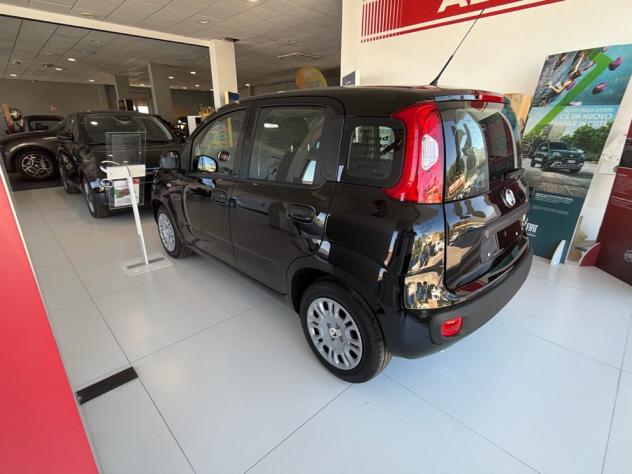 FIAT Pandina My26 1.0 65cv Hybrid Pop - Foto 10