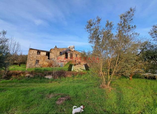 Bagnoregio (Civita di Bagnoregio) - Vendesi casale da ristrutturare con terreno in un bel contesto di campagna. - Foto 10