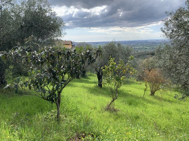 Vendo villa panoramica Altavilla silentina - Foto 2