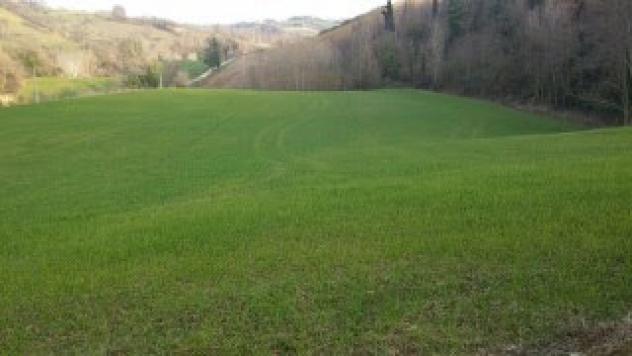 Seminativo in vendita a Mondavio