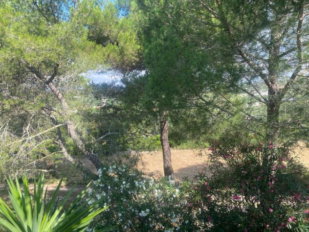 Casale in vendita a Ostuni - Foto 9
