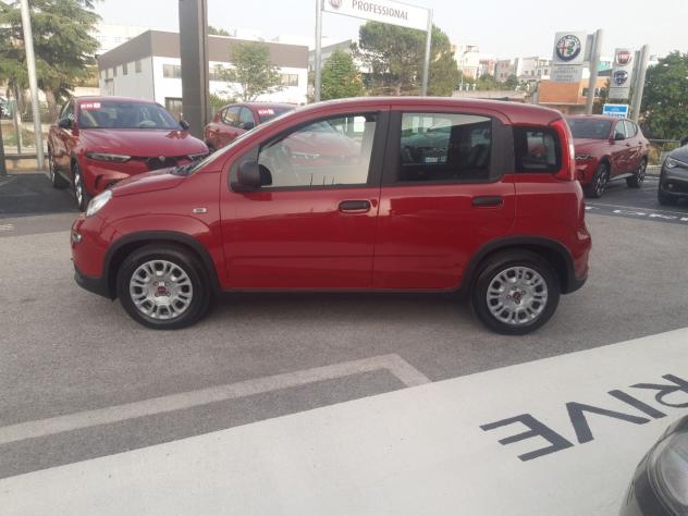 FIAT Panda 1.0 FireFly S&S Hybrid - Foto 2